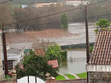 FotoEnchenteAninovo