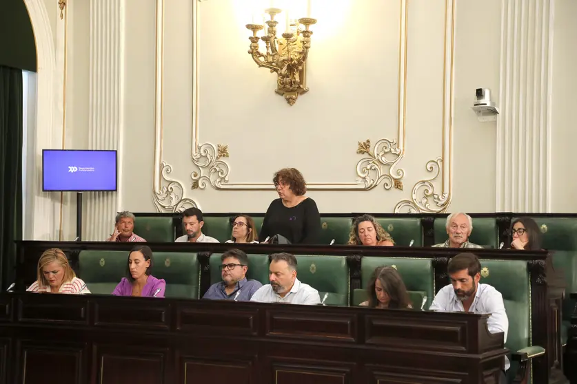 Pleno Deputaci&oacute;n 31072025