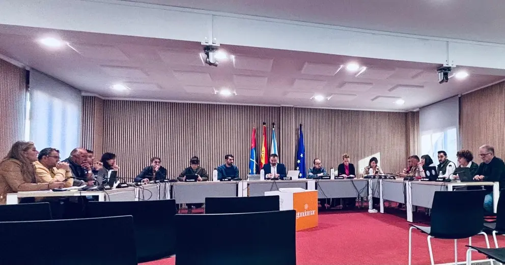 Pleno Gondomar