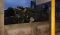 O BNG de Gondomar solicita os informes municipais que xustifiquen a talla de árbores no xardín da Casa Peralba