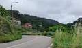 O BNG insta a rozar e limpar con urxencia as marxes das estradas da Xunta que discorren polo concello de Gondomar
