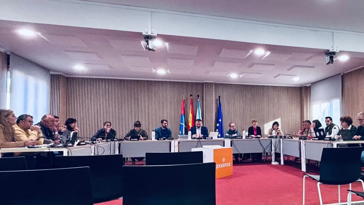 Pleno Gondomar
