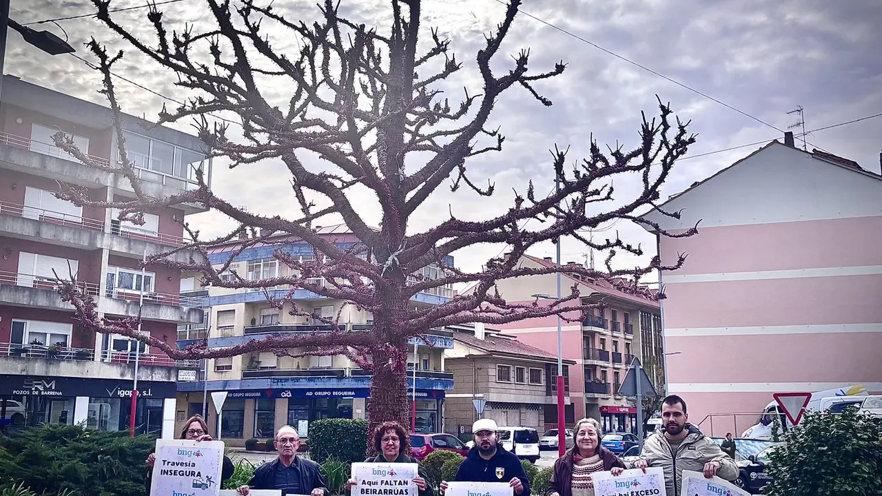 BNG con carteis denunciados diante árbore agredida