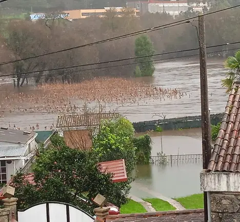 FotoEnchenteAninovo