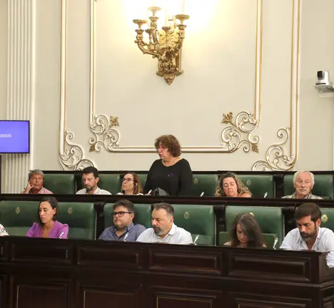 Pleno Deputaci&oacute;n 31072025