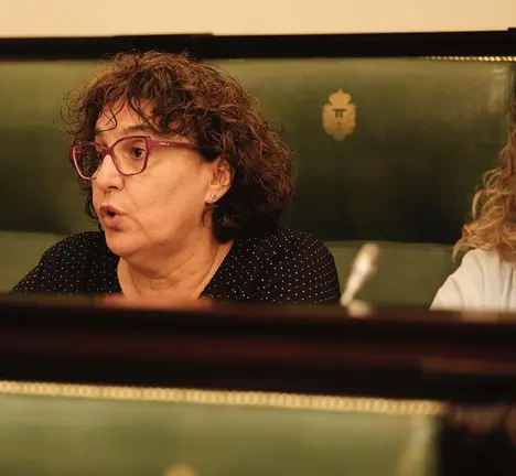 Foto Deputada MRP intervenci&oacute;n