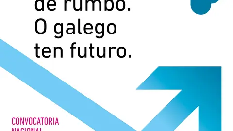 CartazActoNacionalPolaL&iacute;ngua 17N
