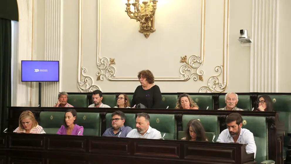 Pleno Deputaci&oacute;n 31072025